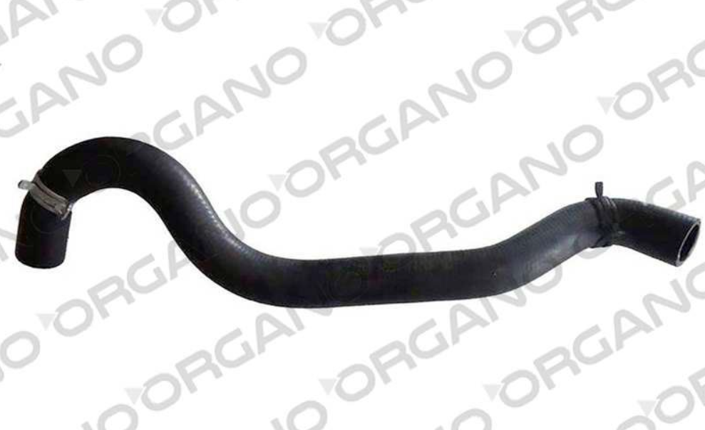 RADYATÖR ALT HORTUMU 1.4 TDCİ  FİESTA 2002 - 2008